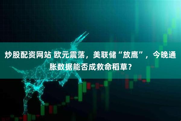 炒股配资网站 欧元震荡,美联储“放鹰”,今晚通胀数据能否成救命稻草?