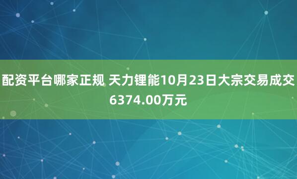 配资平台哪家正规 天力锂能10月23日大宗交易成交6374.00万元