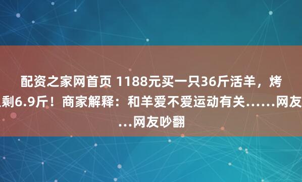 配资之家网首页 1188元买一只36斤活羊,烤完只剩6.9斤!商家解释:和羊爱不爱运动有关……网友吵翻