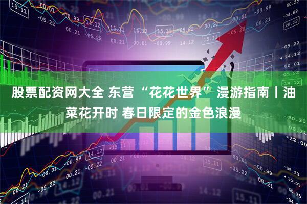 股票配资网大全 东营 “花花世界” 漫游指南丨油菜花开时 春日限定的金色浪漫
